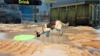 Скриншот 2 к игре SYM Shepherd
