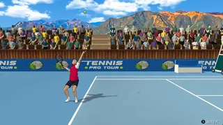 Скриншот 1 к игре Tennis Pro Tour