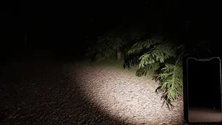 Скриншот 1 к игре Wolf Woods