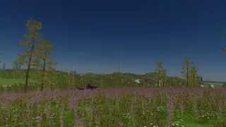 Скриншот 5 к игре Poland Car Simulator