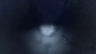 Скриншот 3 к игре Frostbite