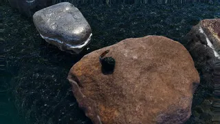 Скриншот 3 к игре Strong Crab
