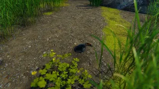 Скриншот 6 к игре Strong Crab
