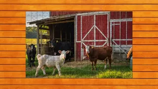 Скриншот 2 к игре Farmyard Pals Jigsaw Puzzles