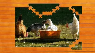 Скриншот 5 к игре Farmyard Pals Jigsaw Puzzles