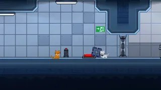 Скриншот 1 к игре Lab Cats