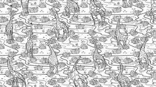 Скриншот 1 к игре Animal Pattern