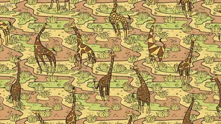 Скриншот 3 к игре Animal Pattern
