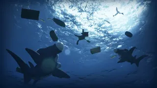 Скриншот 4 к игре Moby Dick: A Tiny Tale of Revenge