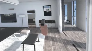 Скриншот 5 к игре Furniture Toss