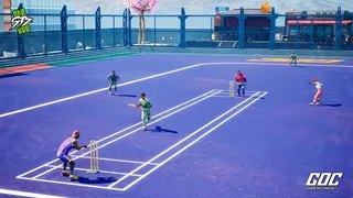 Скриншот 6 к игре GOC-GODS OF CRICKET