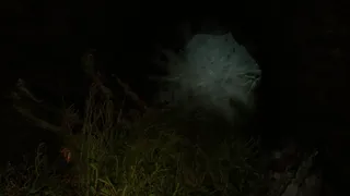 Скриншот 5 к игре Proytz