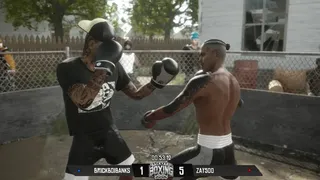 Скриншот 1 к игре Backyard Boxing