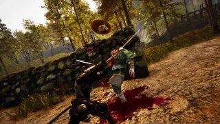 Скриншот 3 к игре Ronin's Way