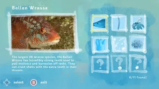Скриншот 5 к игре A Home Below