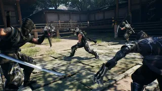 Скриншот 2 к игре NINJA GAIDEN 2 Black