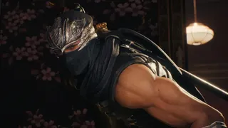 Скриншот 4 к игре NINJA GAIDEN 2 Black