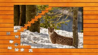 Скриншот 2 к игре Wild Lynx Jigsaw