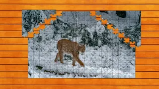 Скриншот 3 к игре Wild Lynx Jigsaw