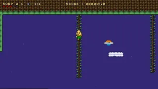 Скриншот 4 к игре Lily And Sury - Adventures on Cristya
