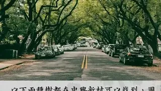 Скриншот 7 к игре 雅里中興 (中興新村地方創生類型遊戲)