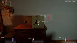 Скриншот 4 к игре Maiden
