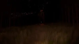 Скриншот 3 к игре Deer Head