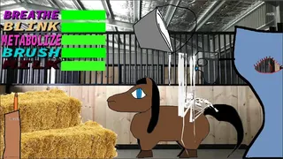 Скриншот 2 к игре Care for your Horse