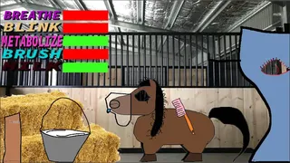 Скриншот 3 к игре Care for your Horse