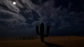Скриншот 5 к игре Cactus Simulator Remake
