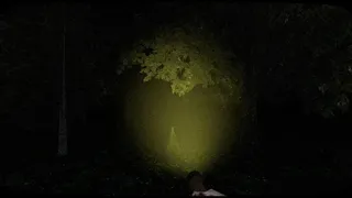 Скриншот 1 к игре Veiled Whispers
