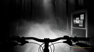 Скриншот 1 к игре The Last Ride Home