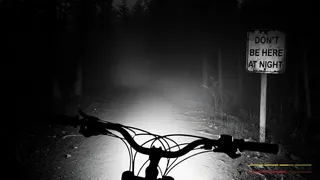 Скриншот 2 к игре The Last Ride Home