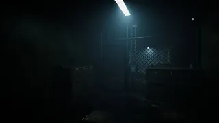 Скриншот 1 к игре Forest Asylum