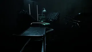 Скриншот 3 к игре Forest Asylum