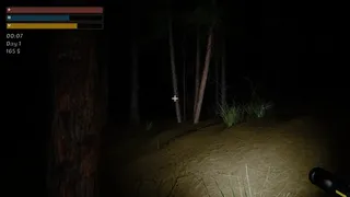 Скриншот 3 к игре Pohinki Simulator