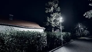 Скриншот 3 к игре Nachtschicht