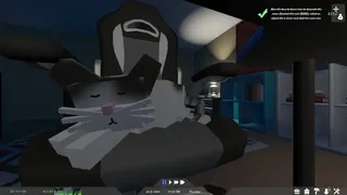 Скриншот 1 к игре Life of a Cat