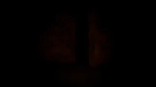Скриншот 2 к игре The Jurassic Labyrinth