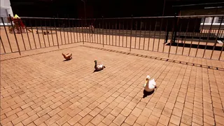 Скриншот 5 к игре TAOQUAN