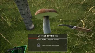 Скриншот 2 к игре Mushroom Hunter World