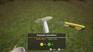 Скриншот 6 к игре Mushroom Hunter World