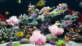 Скриншот 3 к игре Sea Aquarium Screensaver