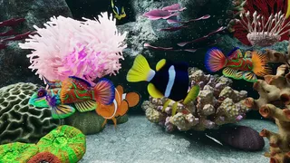Скриншот 5 к игре Sea Aquarium Screensaver