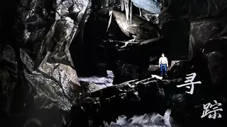 Скриншот 1 к игре 寻踪