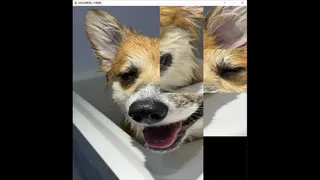 Скриншот 3 к игре hgmGame-dog