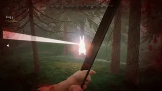 Скриншот 5 к игре Bunny Hurling