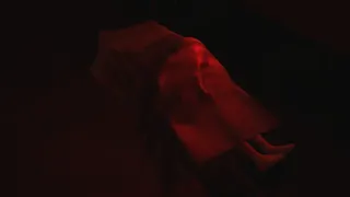 Скриншот 8 к игре The Dinner