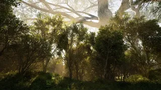 Скриншот 1 к игре Calming Forest