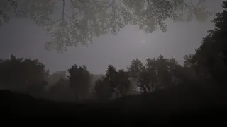 Скриншот 4 к игре Calming Forest
